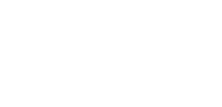 5feet11 logo