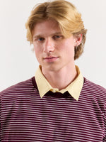 Load image into Gallery viewer, Burgundy &amp; White Striped Loose Fit Cropped T-Shirt